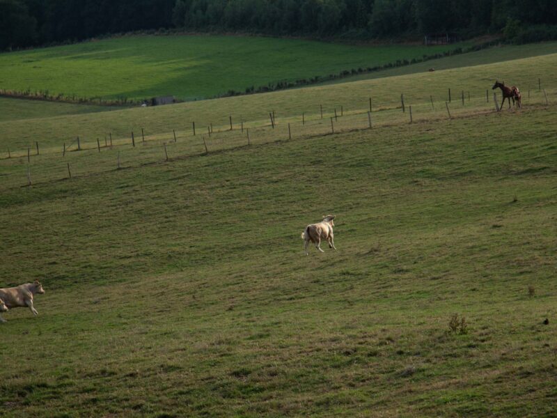 _MG_9361 fotografie toerisme natuur